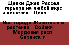 Щенки Джек Рассел терьера на любой вкус и кошелек › Цена ­ 13 000 - Все города Животные и растения » Собаки   . Мордовия респ.,Саранск г.